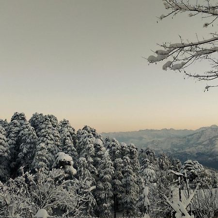 Black Bear Cottage Khajjiar Dış mekan fotoğraf