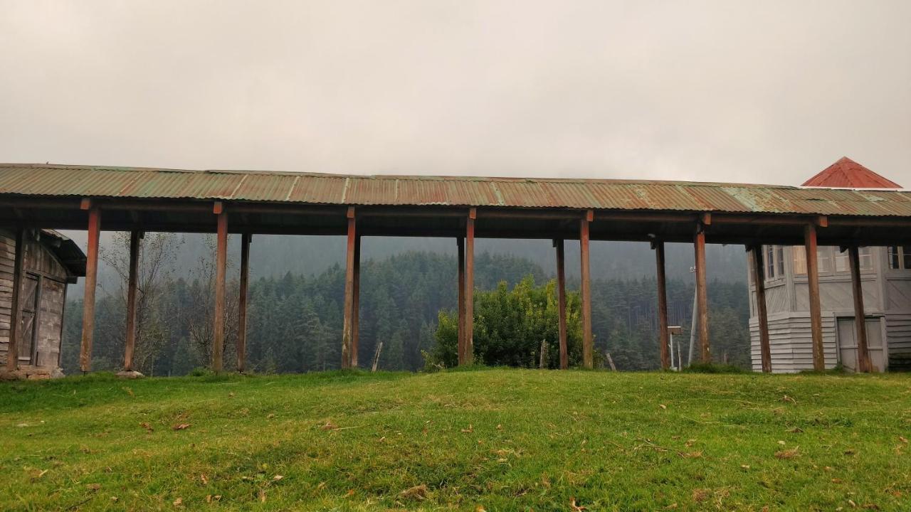 Black Bear Cottage Khajjiar Dış mekan fotoğraf