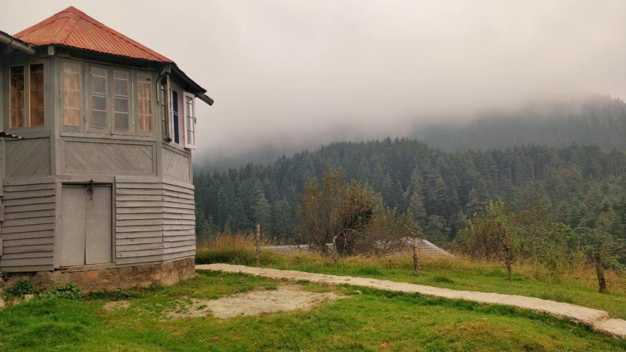 Black Bear Cottage Khajjiar Dış mekan fotoğraf