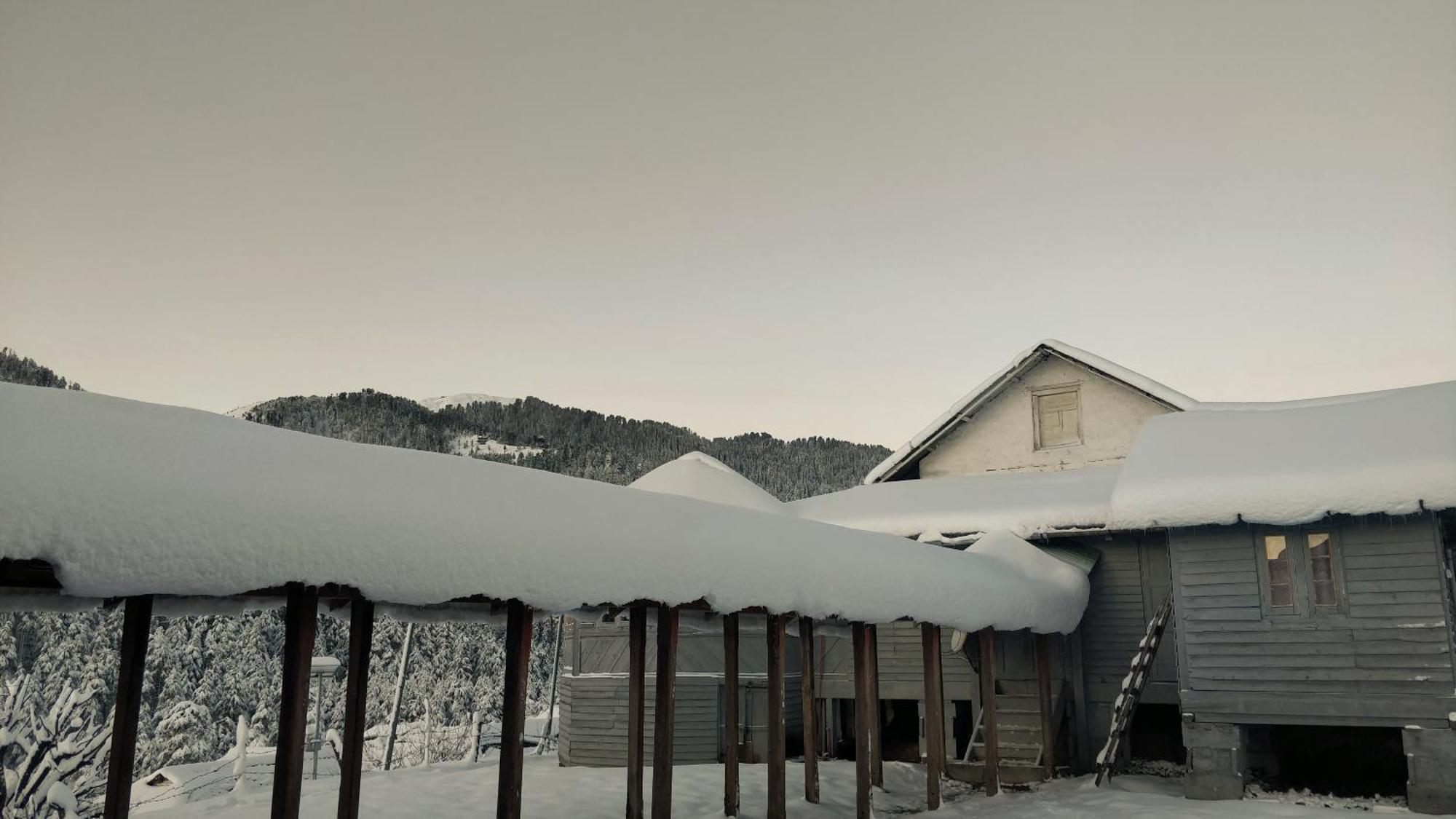 Black Bear Cottage Khajjiar Dış mekan fotoğraf