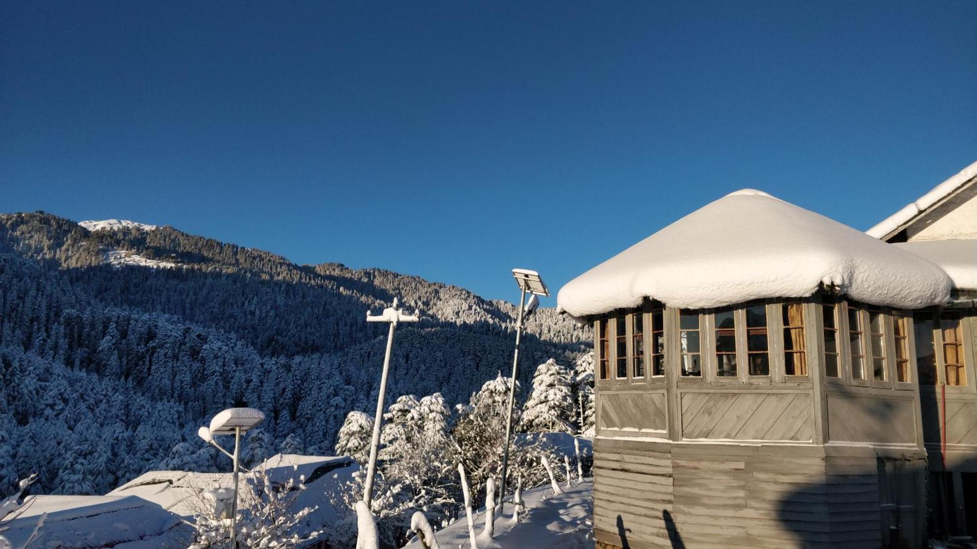 Black Bear Cottage Khajjiar Dış mekan fotoğraf