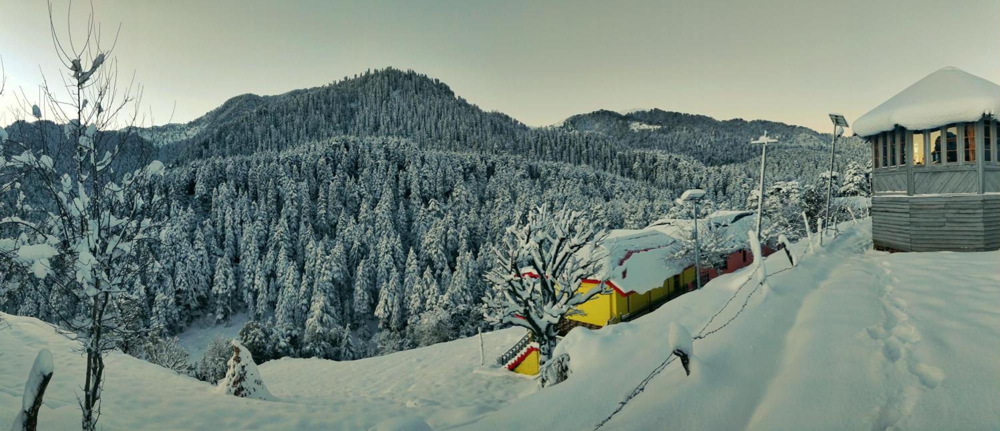 Black Bear Cottage Khajjiar Dış mekan fotoğraf