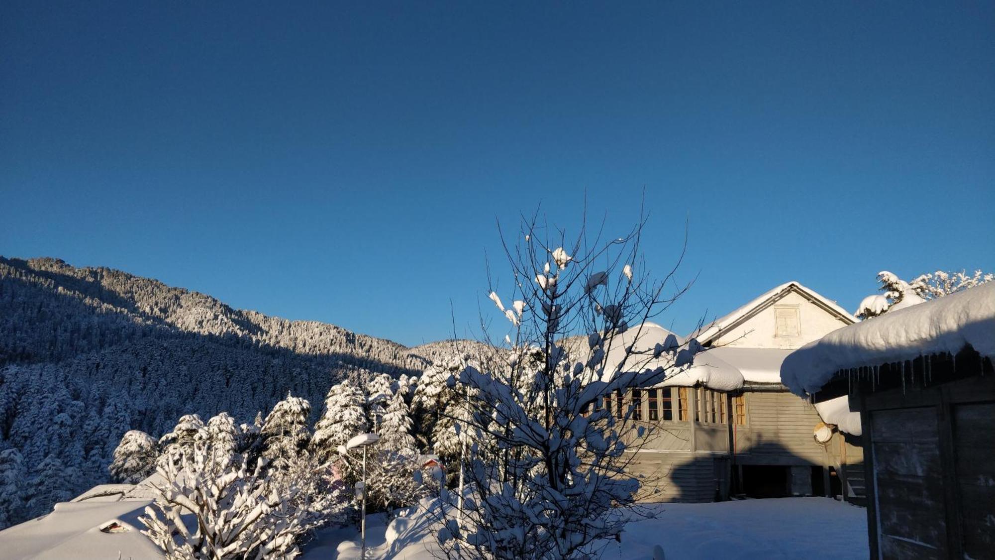 Black Bear Cottage Khajjiar Dış mekan fotoğraf